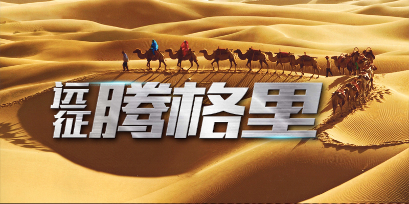 远征腾格里