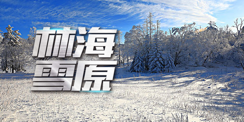 林海雪原