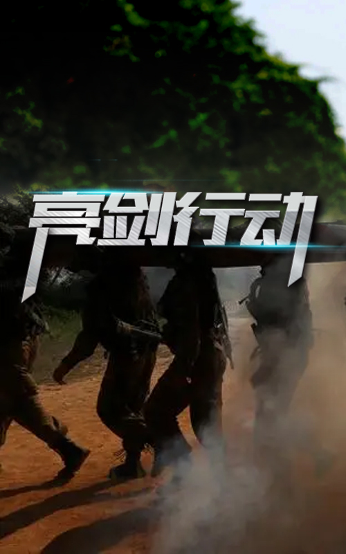 亮剑行动