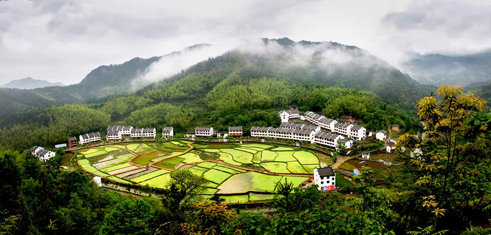 丽水莲都诗画利山基地