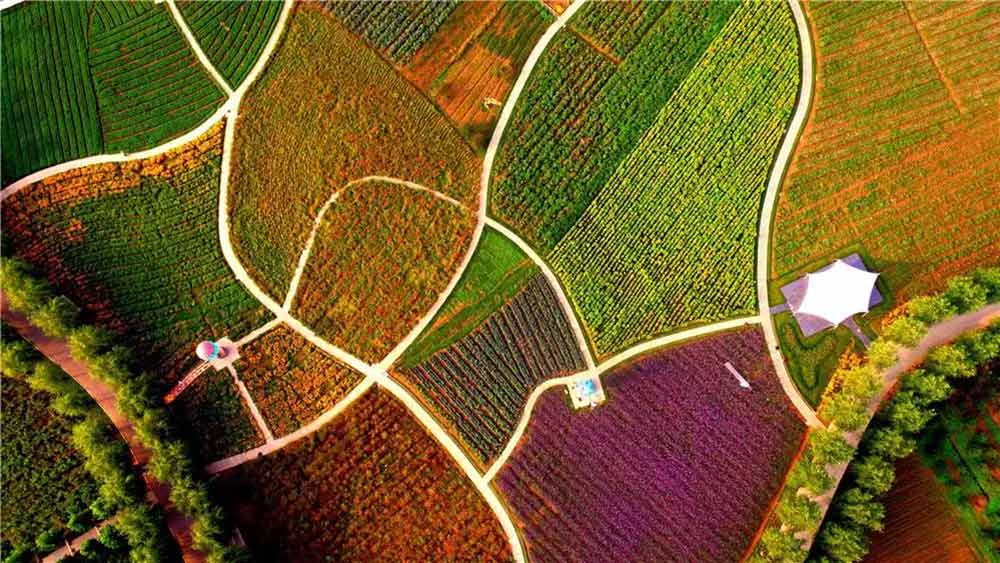 温州雁荡山七彩田园营地