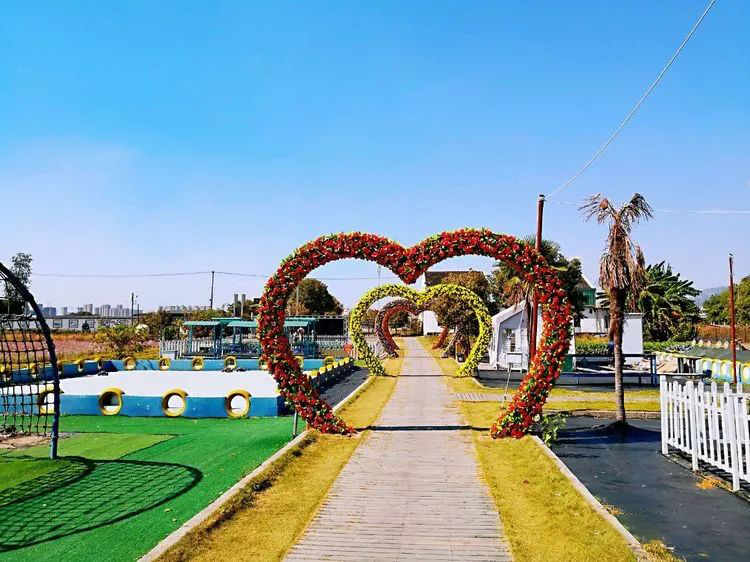 温州七都岛中岛营地