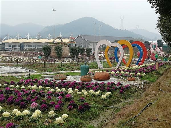 绍兴诸暨米果果拓展团建基地