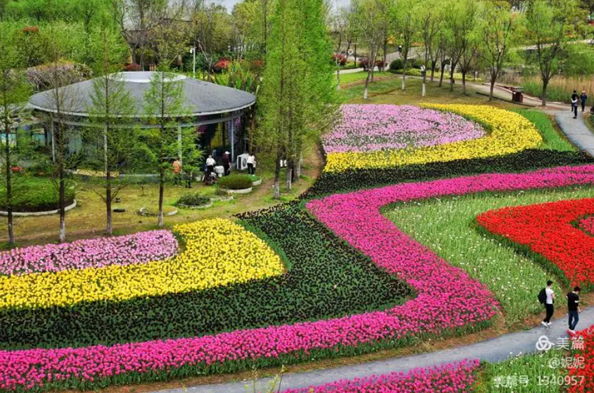 绍兴上虞海上花田拓展基地