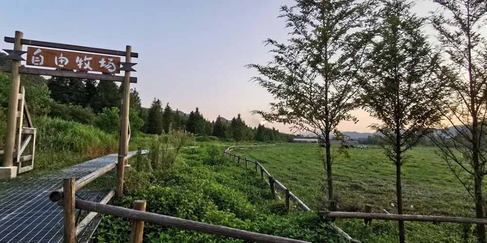 湖州莫干山农场拓展基地