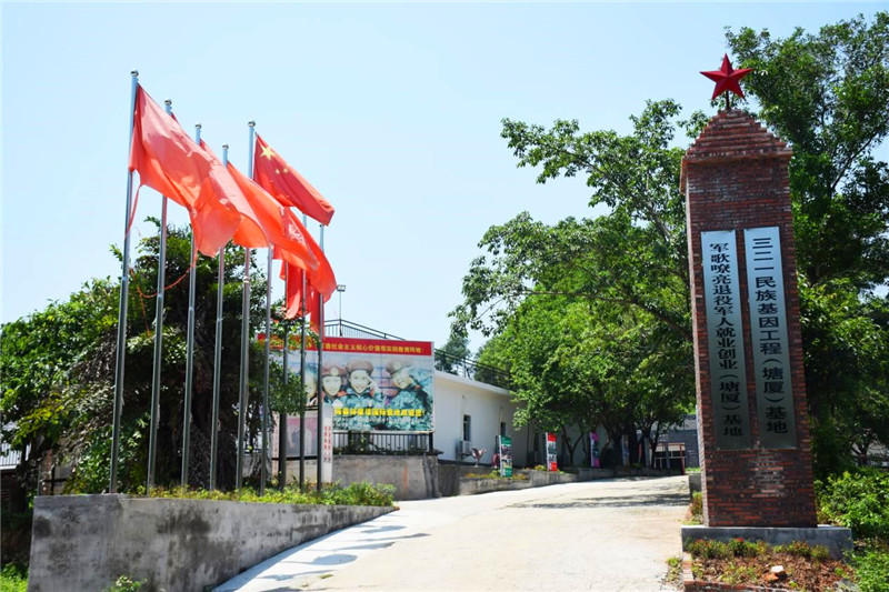 东莞塘厦森林童话国际营地